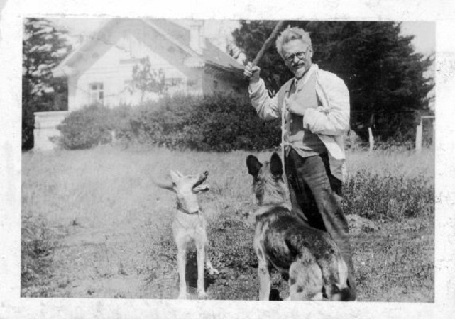 Trotsky juega a buscar con dos perros ovejeros alemanes Beno y Stella, Barbizon, Francia, 1934