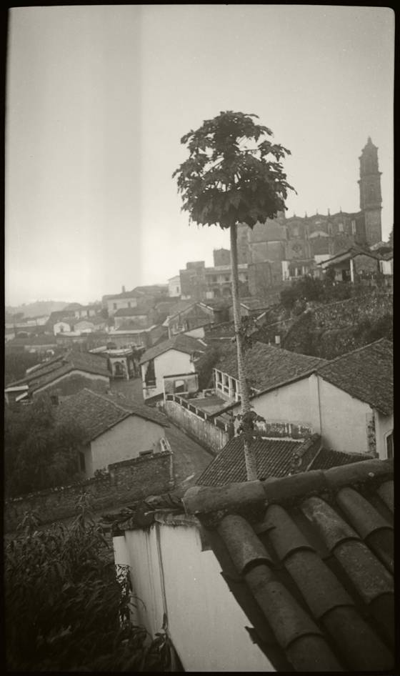 Probablemente la vista desde la casa de Trotski en Taxco, 1939. (’Délibéré’, de la colección personal de Gilles Walusinski)